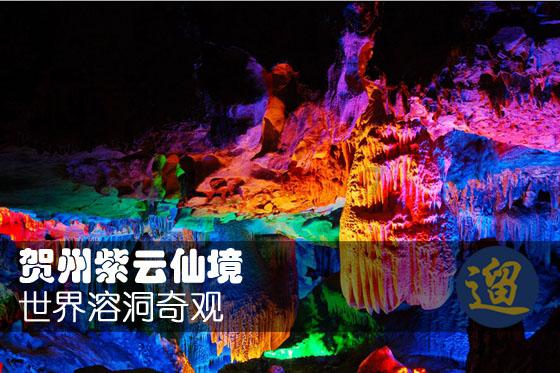 2024年养生月历，为你的健康护航
