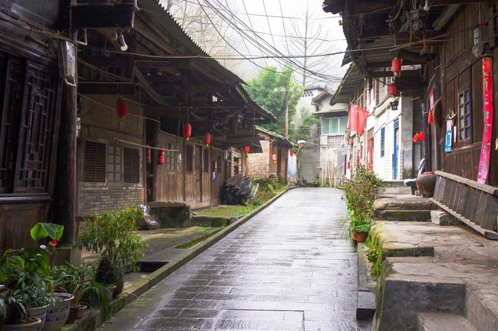 天津援青搭建新消费场景 河南县优牧产品推介专场亮相年货节掀人气