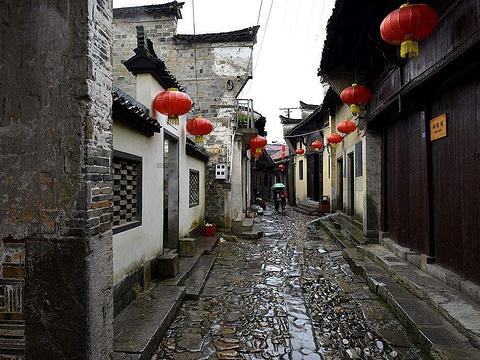 蝙蝠侠：阿甘骑士